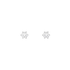 Pair of zirconia stud earrings on a white background